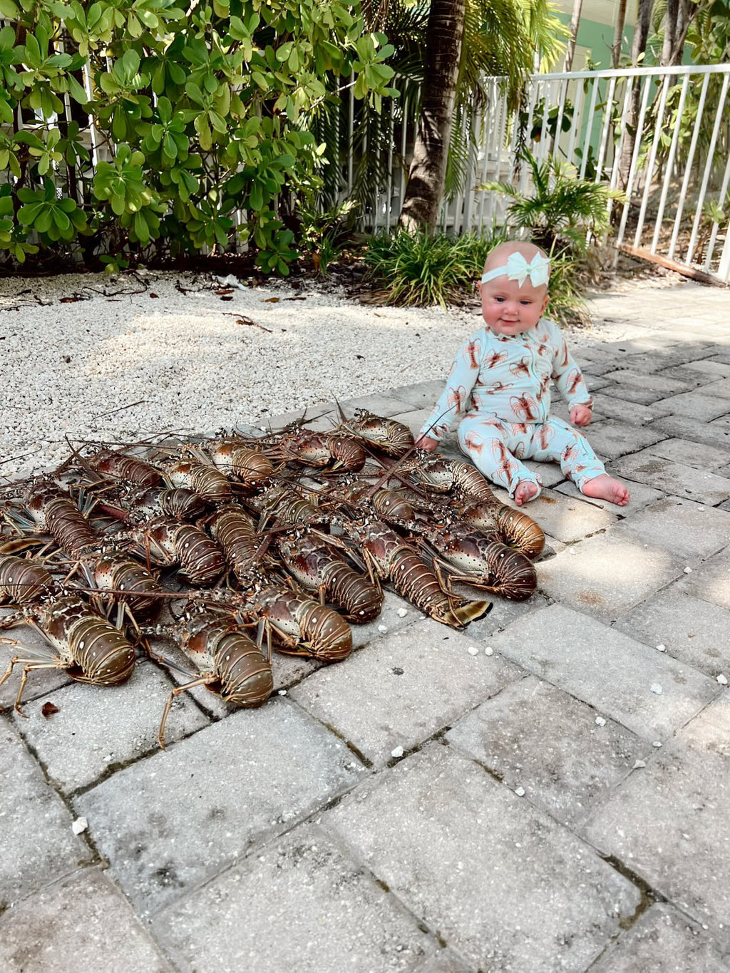 Lowtide Lobster - Bamboo Zippy Sleeper Pajamas - Sold out