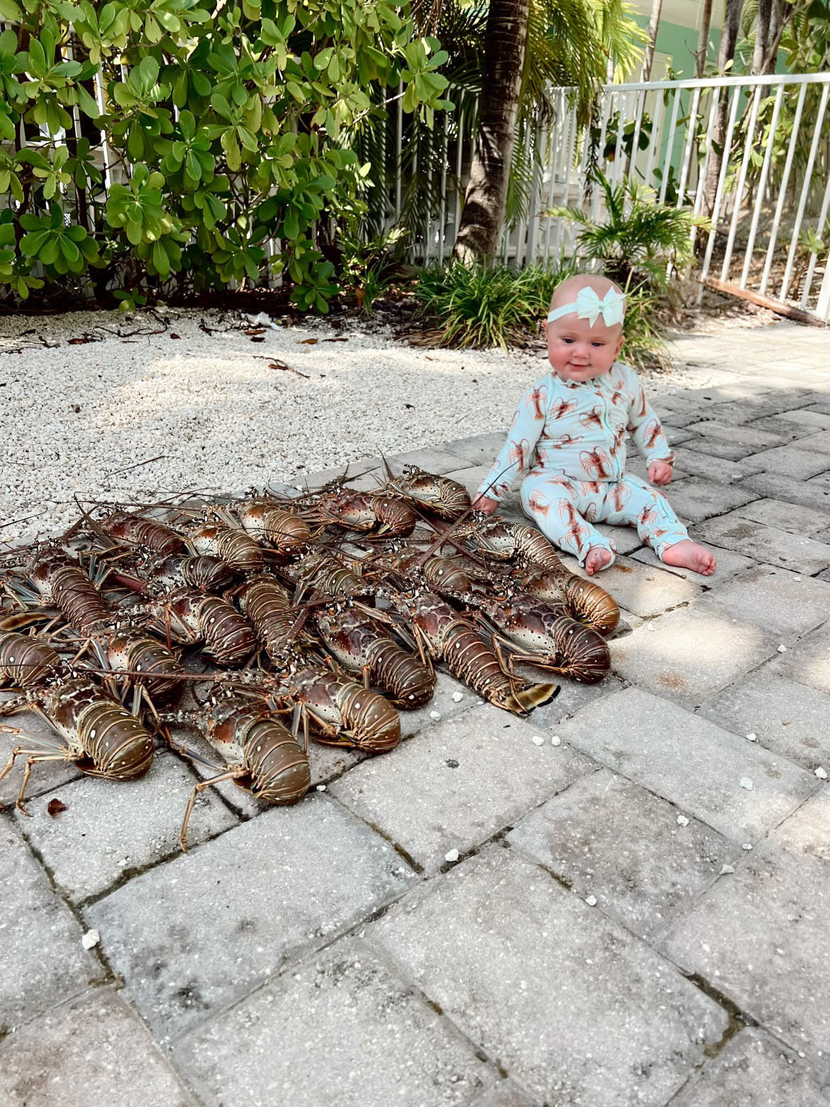 Lowtide Lobster - Bamboo Zippy Sleeper Pajamas - Sold out