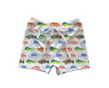 *PREORDER* Swim Shorts